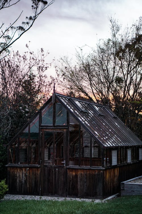 Brown Wooden House Near Trees