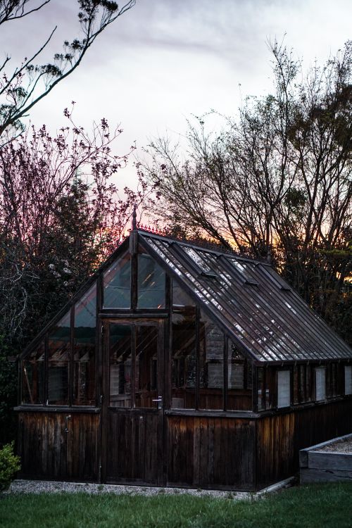 Free Charming rustic wooden greenhouse surrounded by trees at sunset in Leura, NSW, Australia. Stock Photo