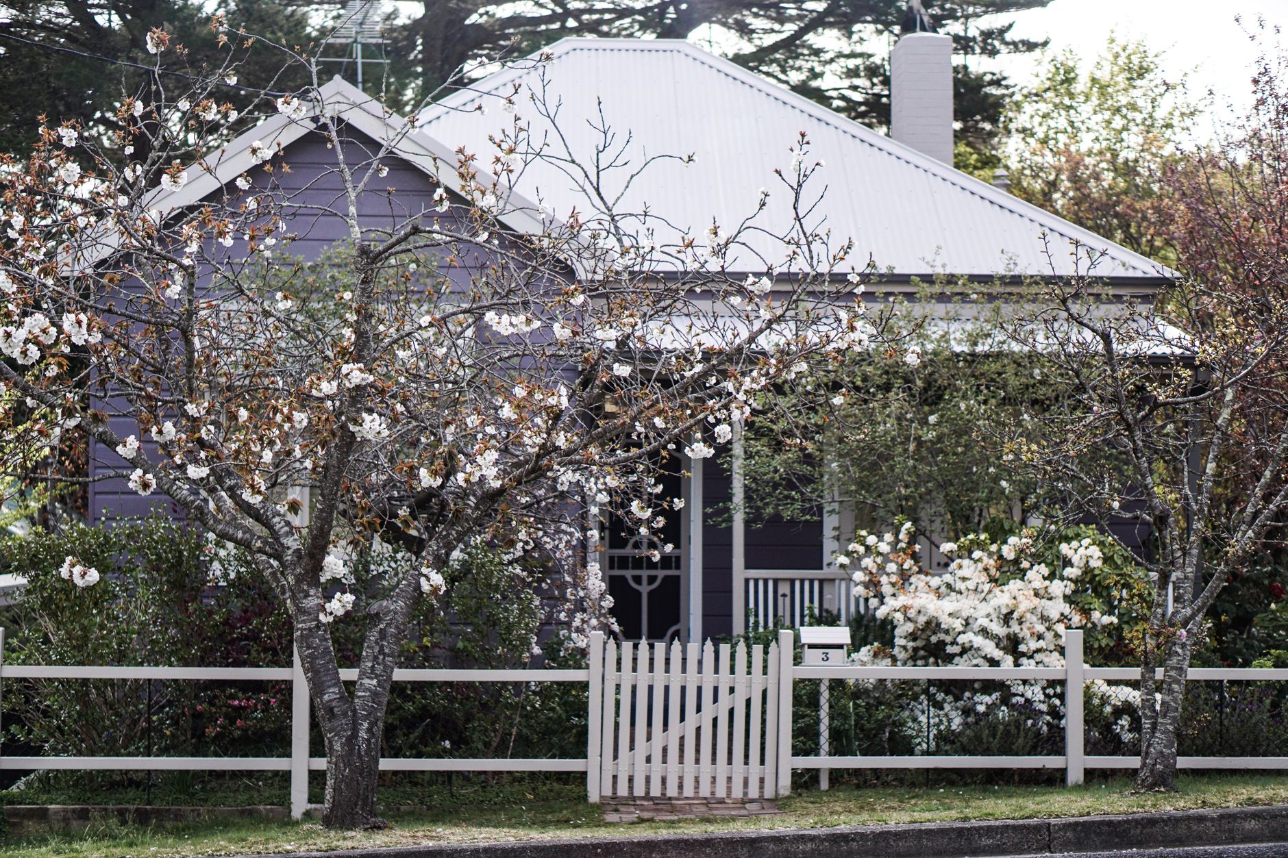 Landscaping & Lawn Care
