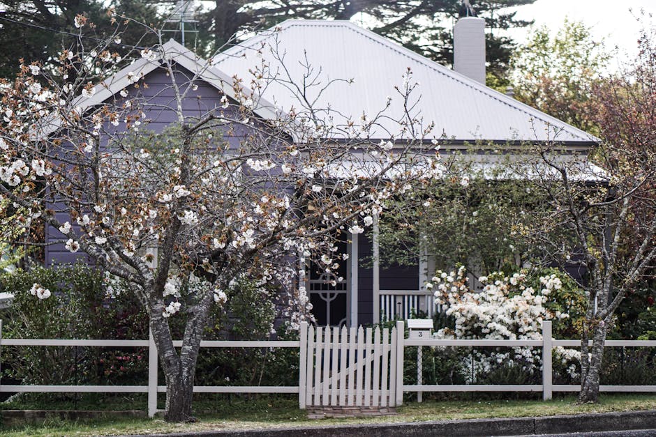 garden fence design