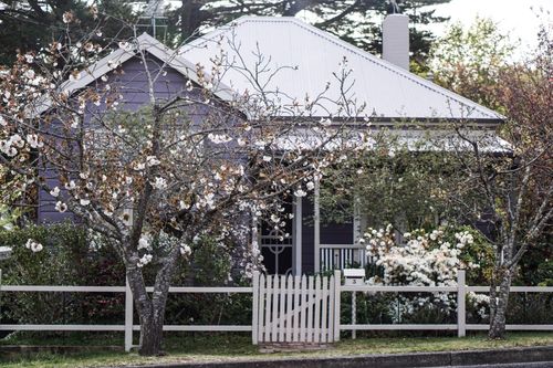 Free A picturesque view of a charming home in Leura, featuring blooming trees and a white picket fence. Stock Photo