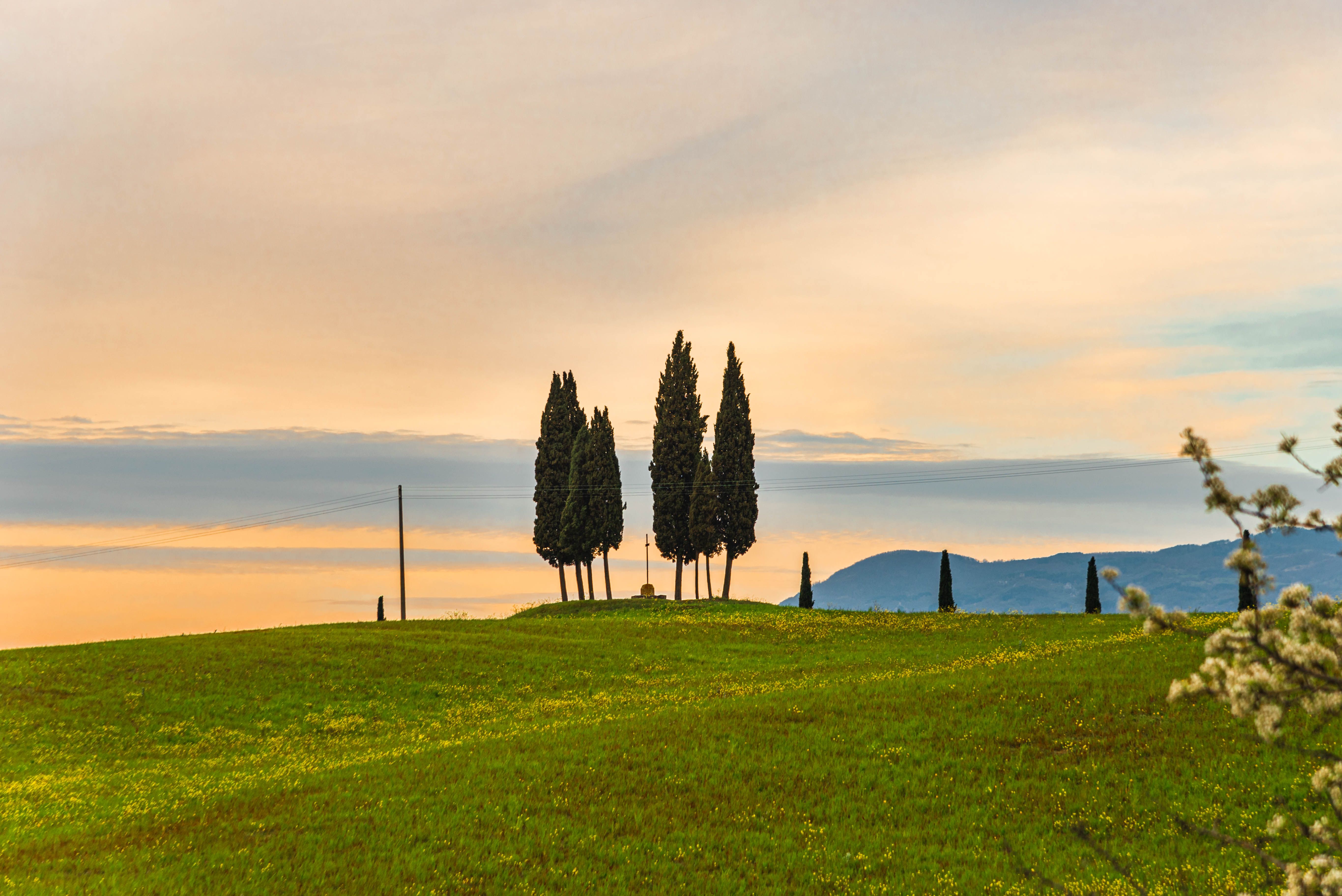 Tuscan Countryside