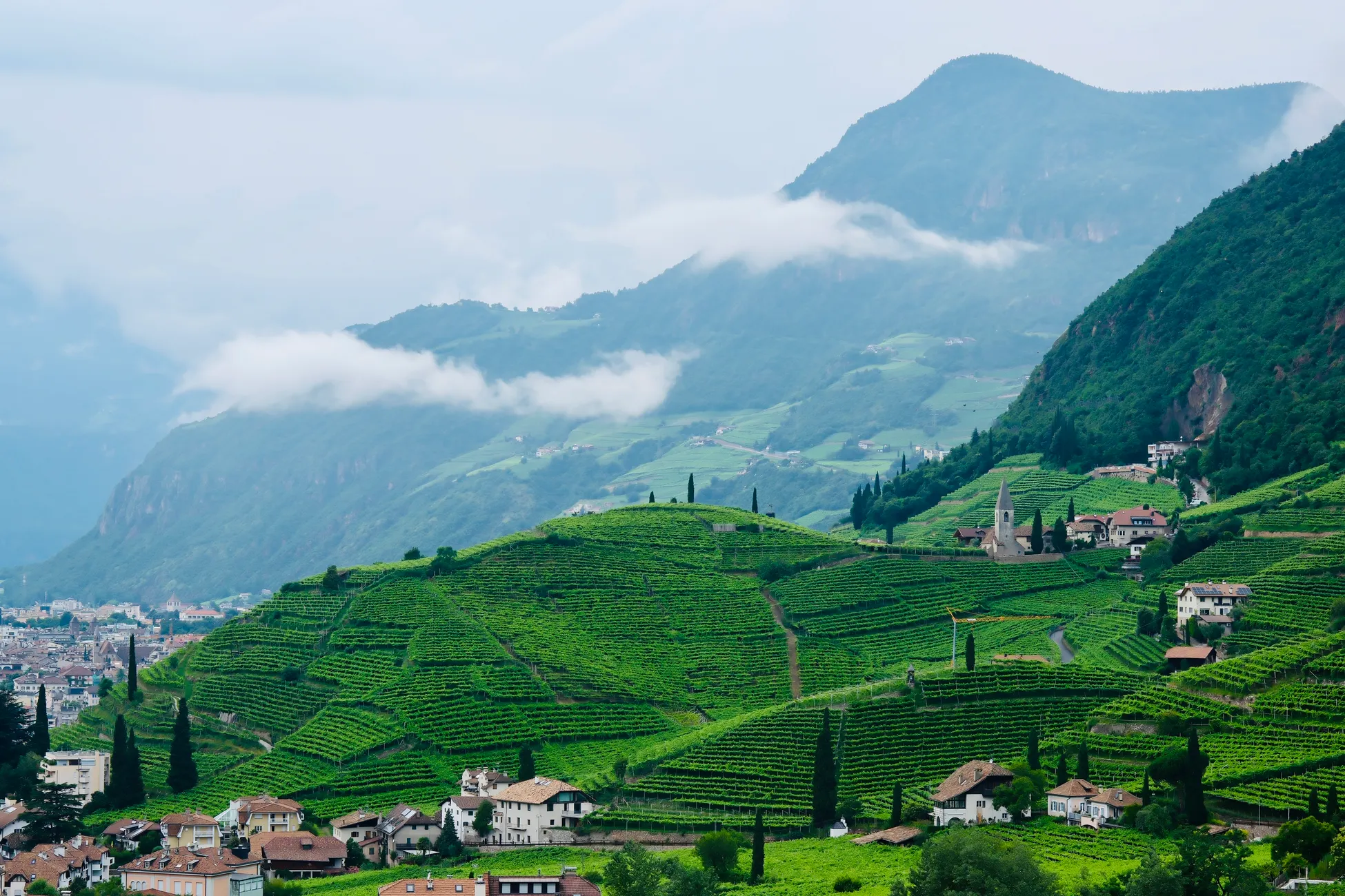 Erasmus en Bolzano