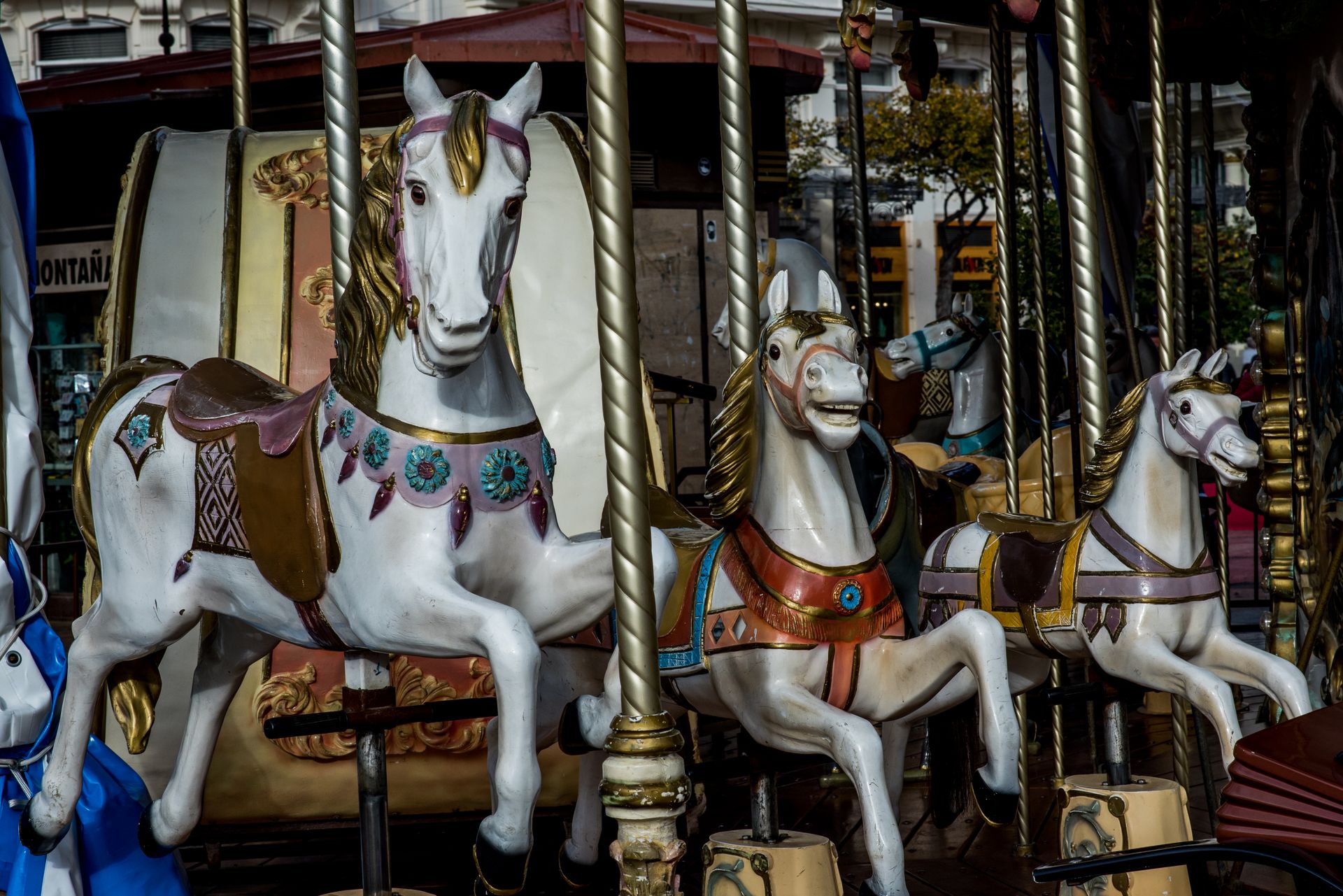 Close-up of vintage carousel horses on an amusement park ride, showcasing intricate details and colors.