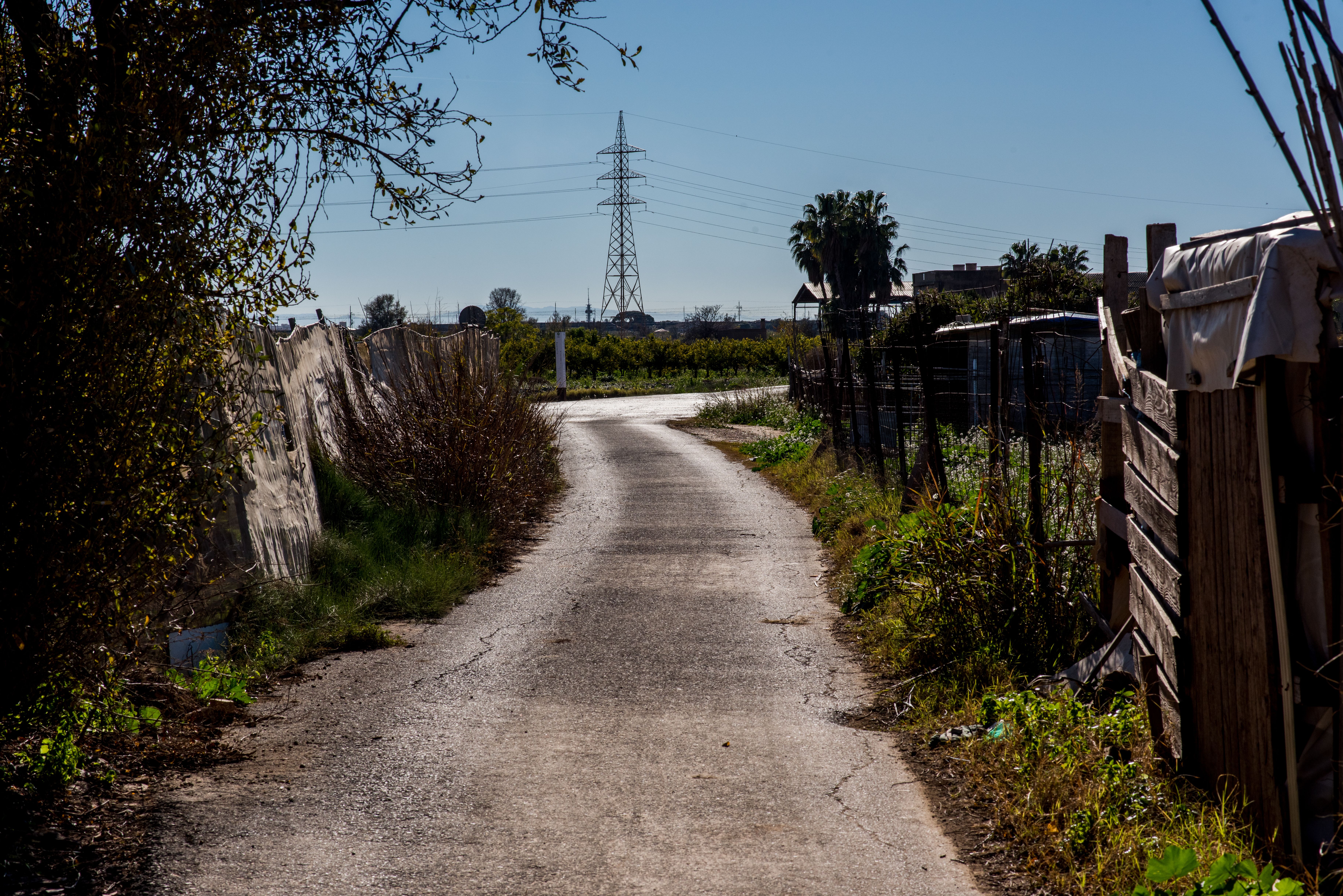 Quiet Rural Pathway Leading to Farmland · Free Stock Photo