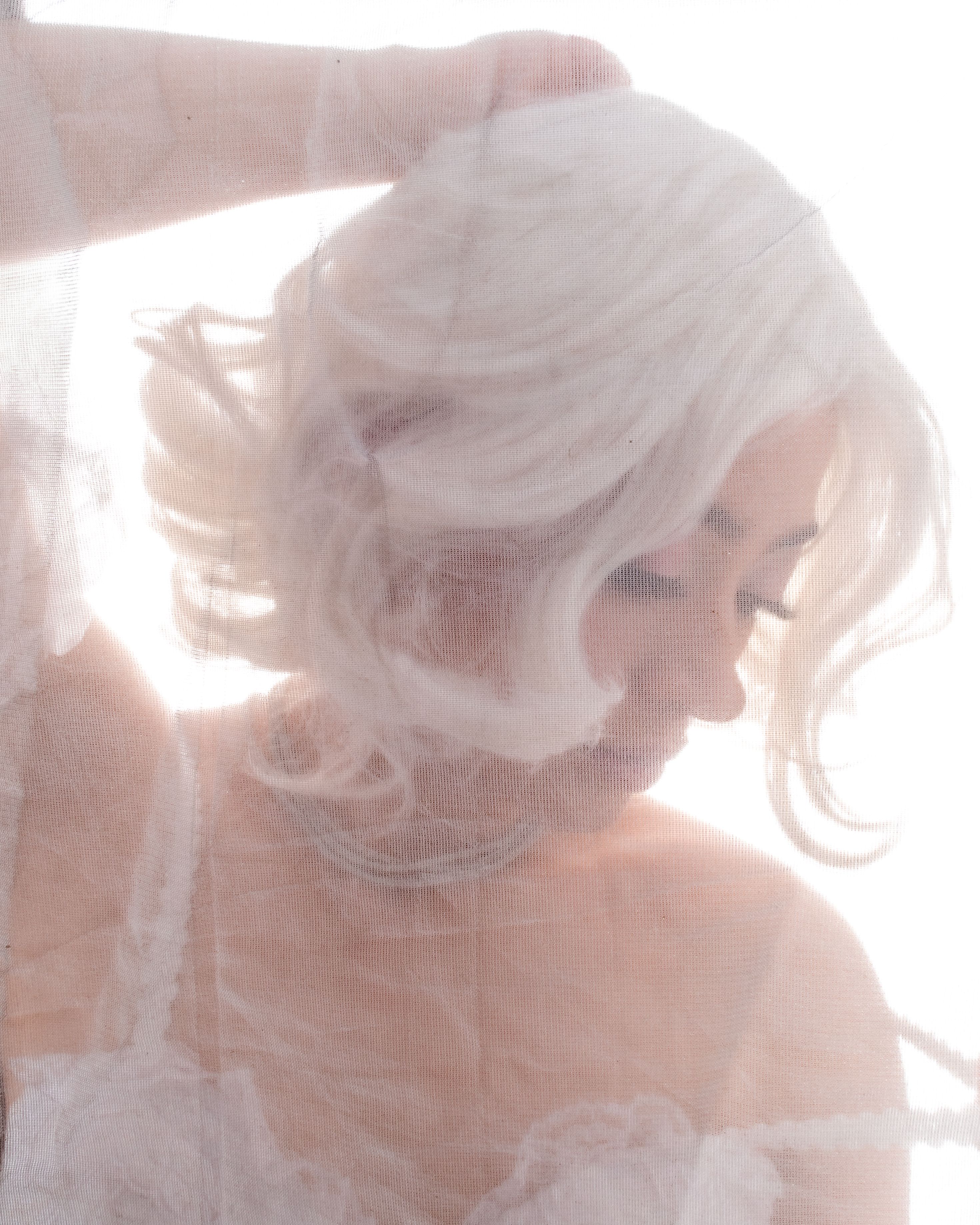 Soft Portrait of a Woman Behind a Veil · Free Stock Photo