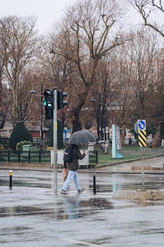 Pedestrian with umbrella crossing wet street in urban park setting on a rainy day.