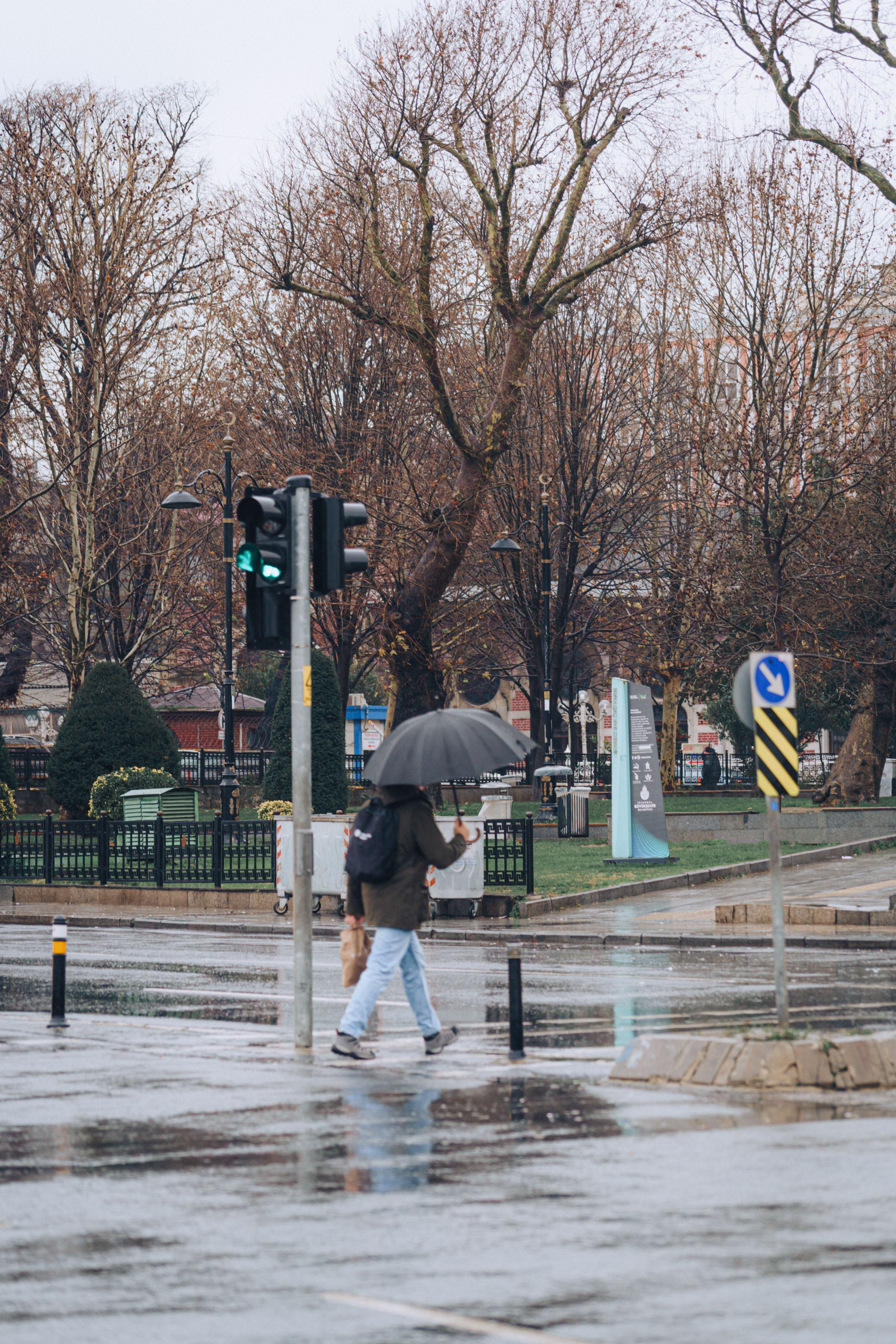 Rainy Day in Urban Park Scene at Crosswalk · Free Stock Photo