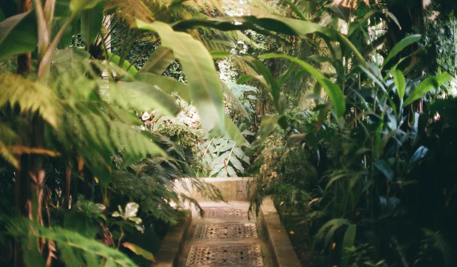 Le Jardin des plantes et le Lieu Unique