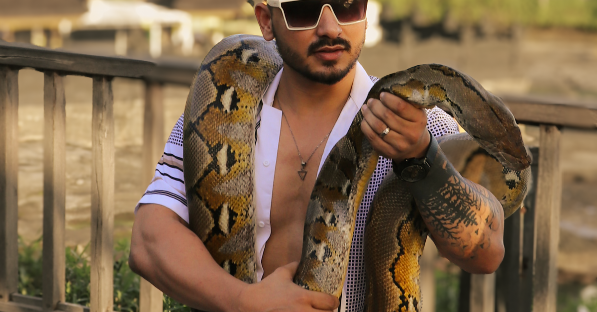 Man Holding Python in Bali Outdoors · Free Stock Photo