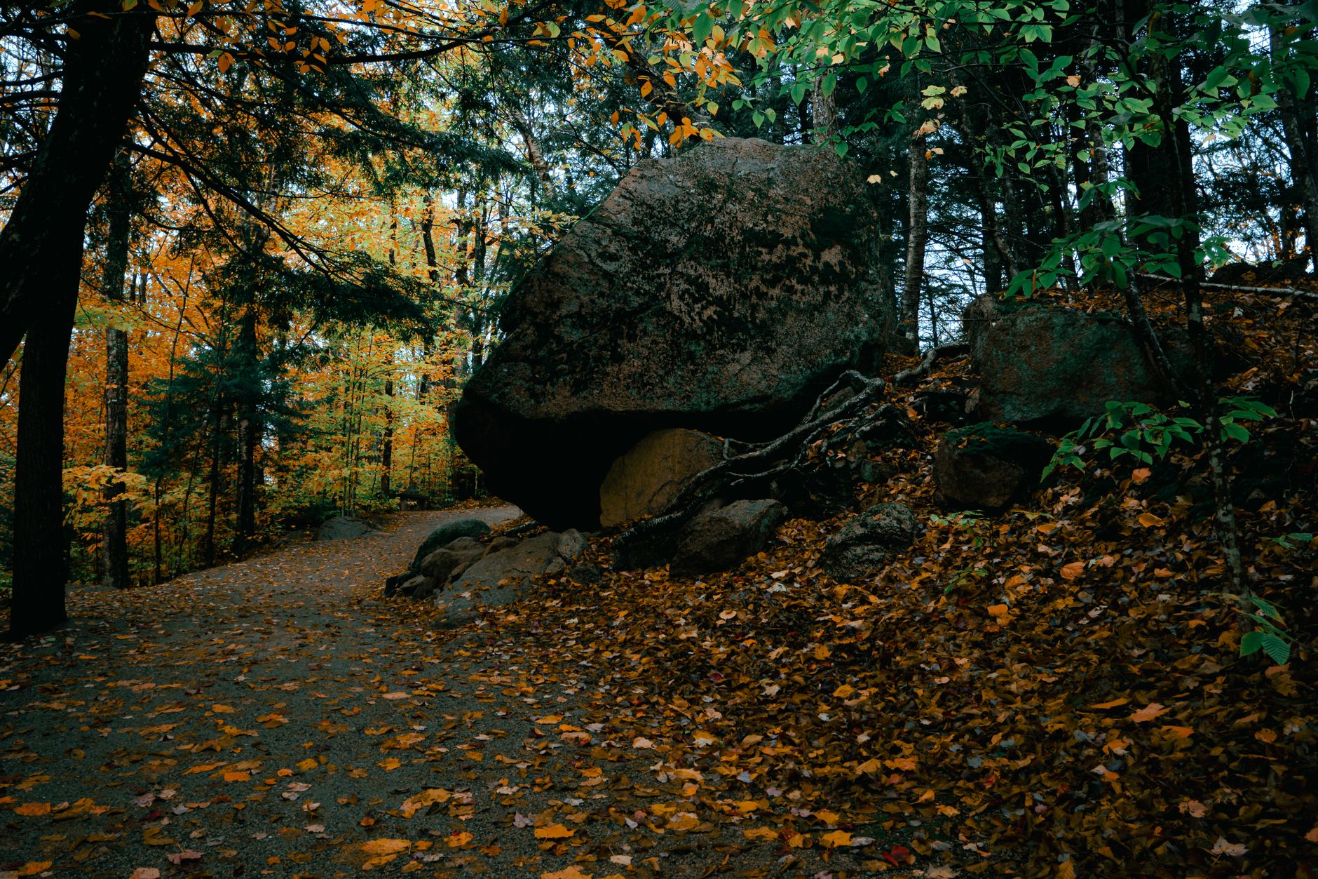 Explore the vibrant autumn colors and rocky paths of Flume Gorge in Lincoln, NH.