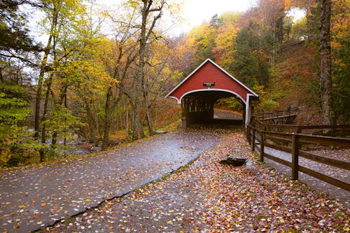 Fall Escapes That Make New England Shine