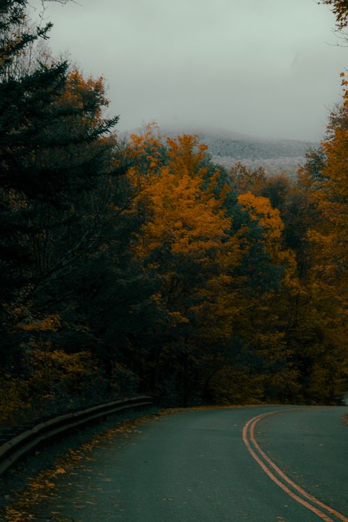 Free A tranquil winding road surrounded by vibrant autumn foliage in Franconia Notch State Park, New Hampshire. Stock Photo