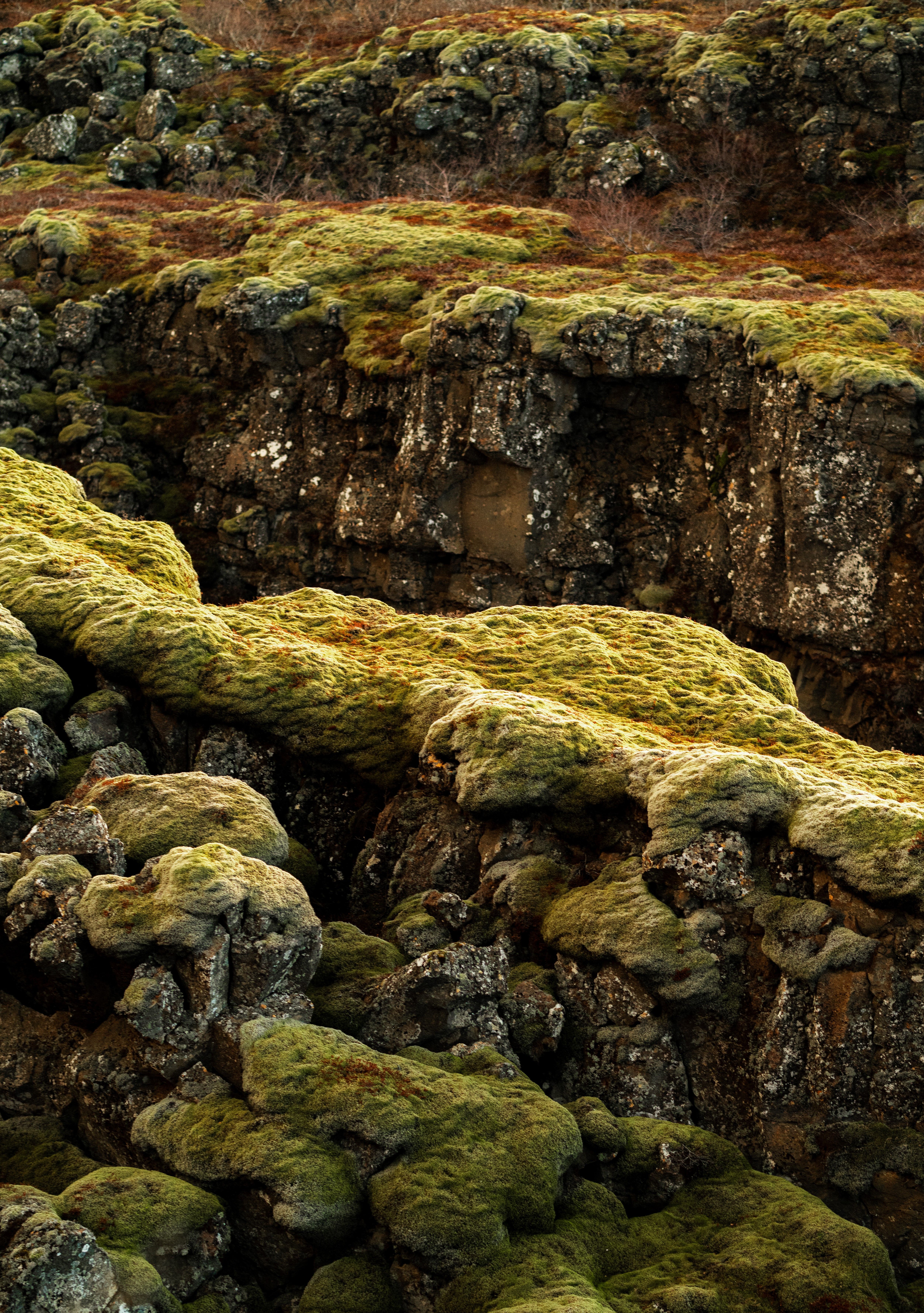 Scenic Icelandic Moss-Covered Volcanic Terrain · Free Stock Photo