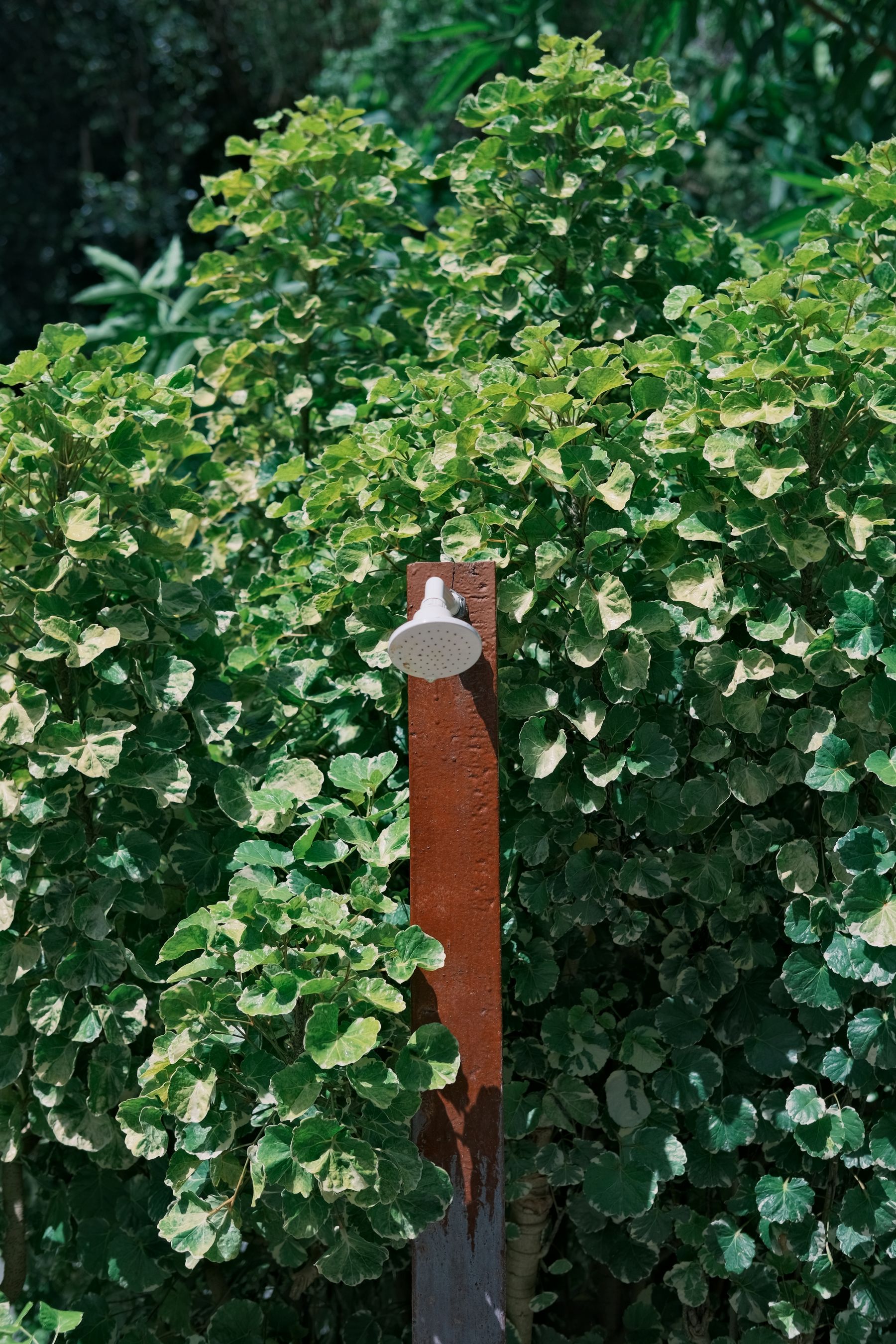 Outdoor garden shower surrounded by dense green foliage