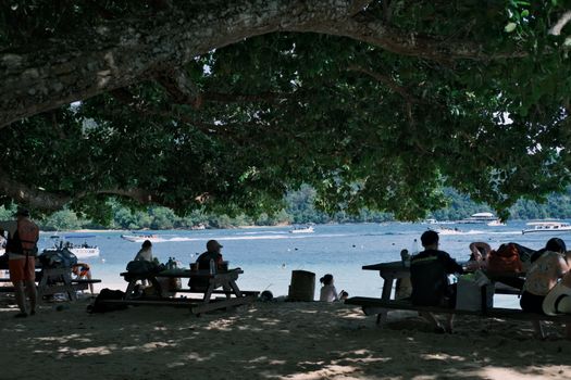 People enjoying a picnic under a large tree by the beach, with boats in the distance.