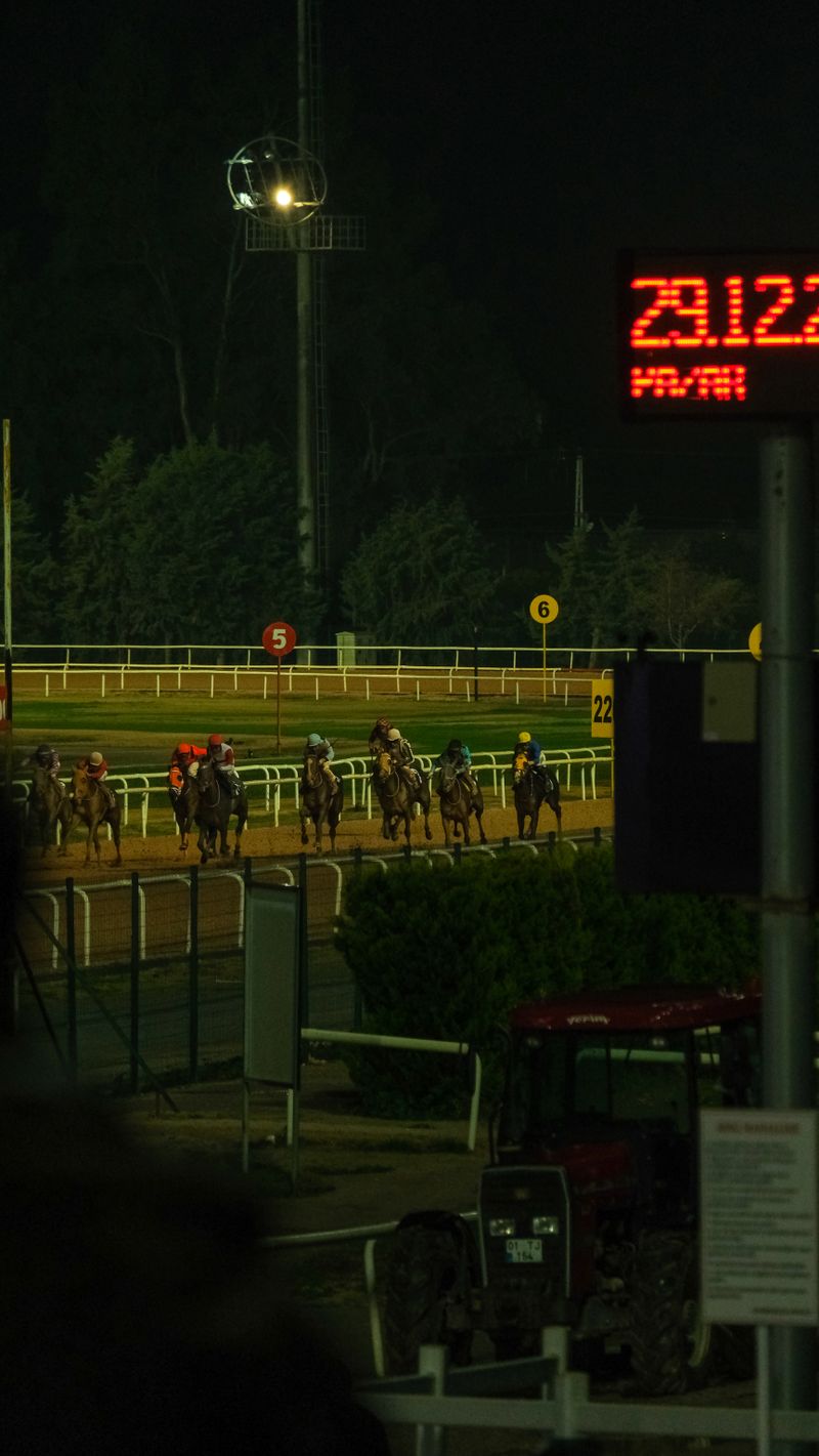 Spheretap 賽馬評測的夜間馬場