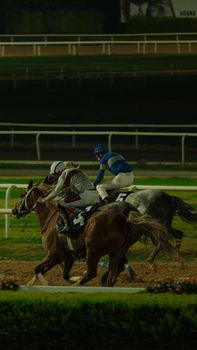 Vibrant horse racing at night, capturing action and speed on the racetrack.