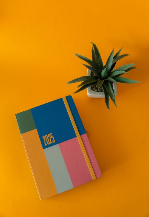 Free Colorful 2025 planner with succulent plant on vibrant orange background. Stock Photo