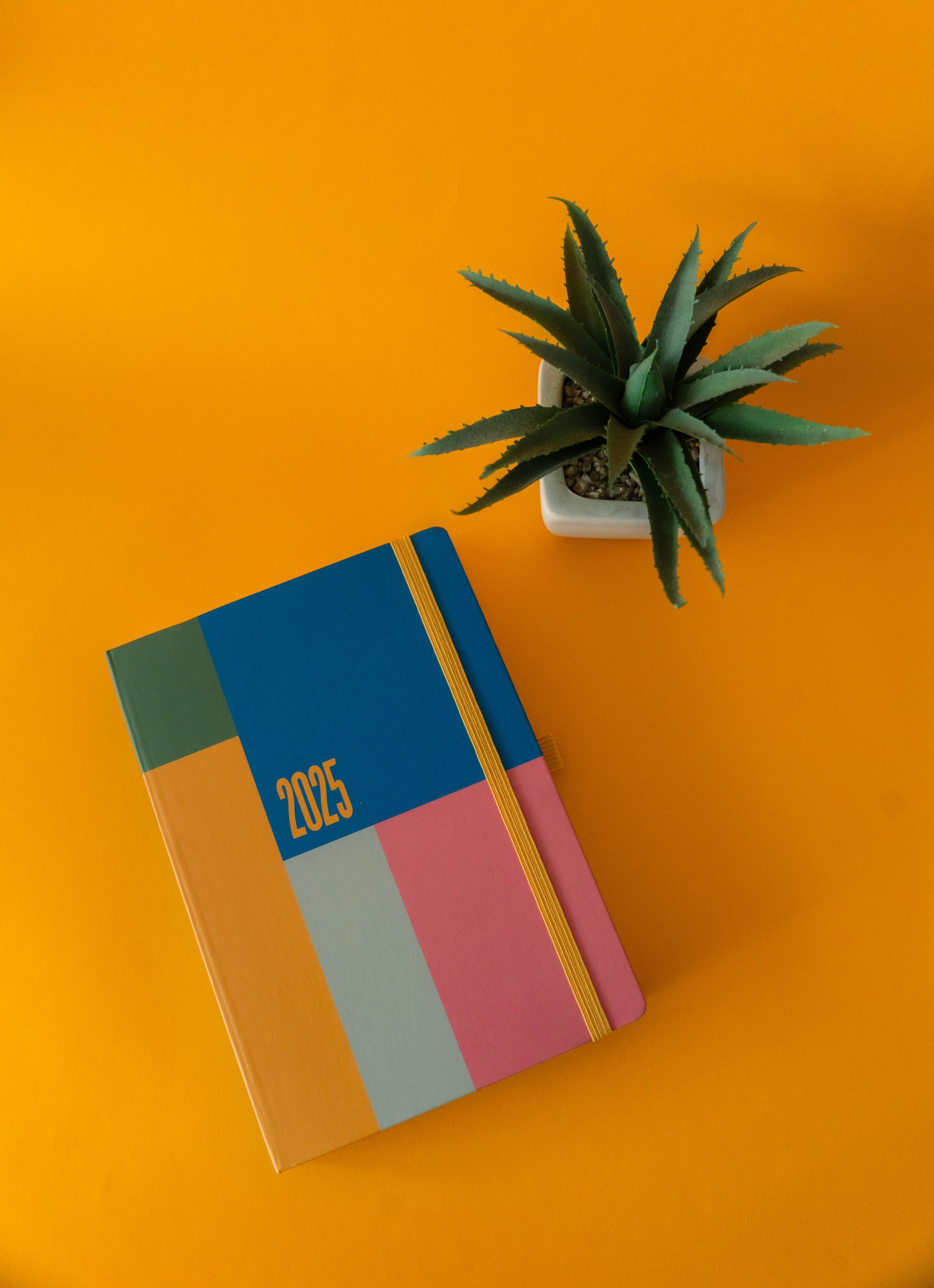 New Kotlin Standard: What Awaits Developers in 2025