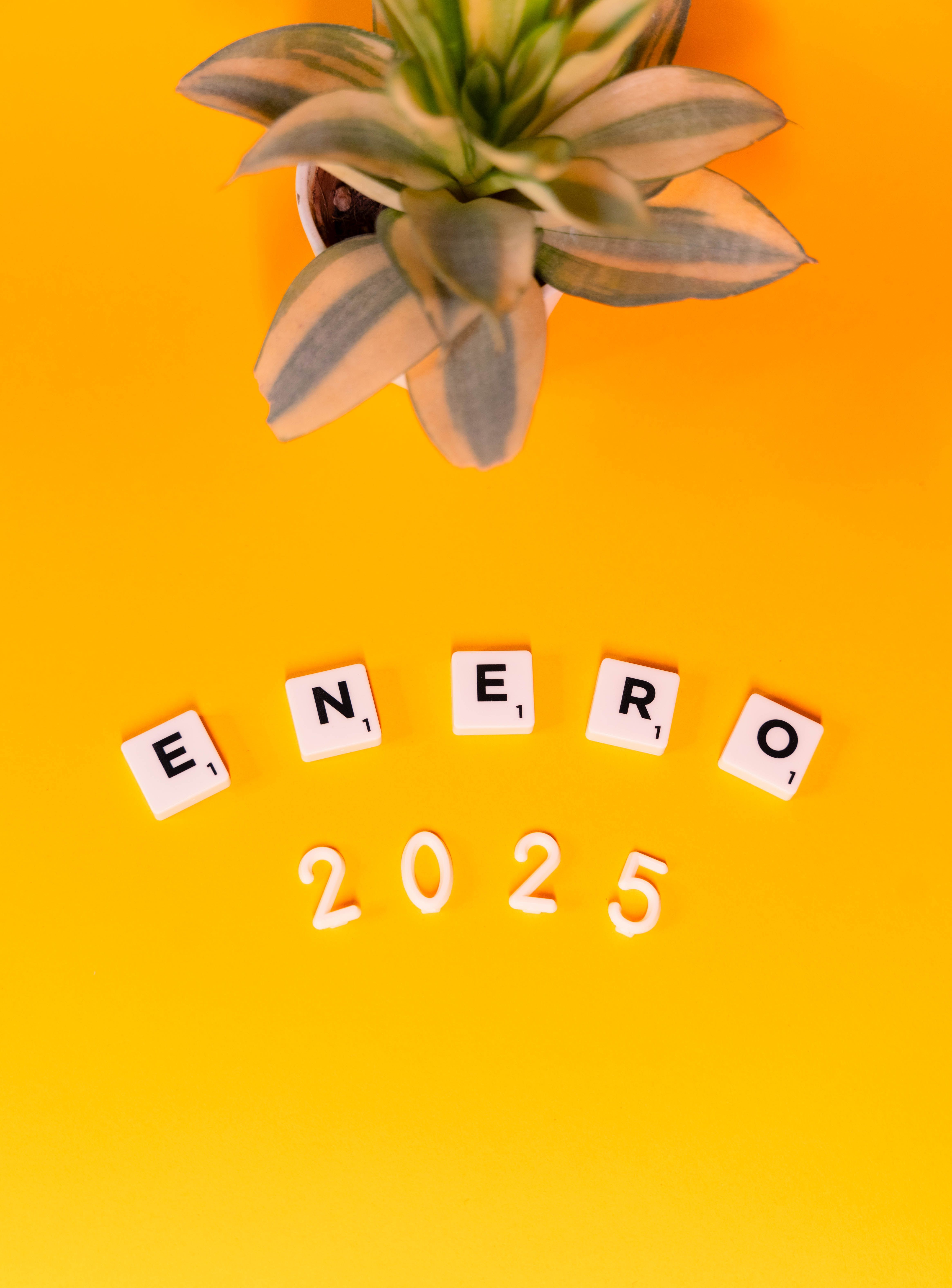 2025年彩券出現22位億級幸運兒！🎉