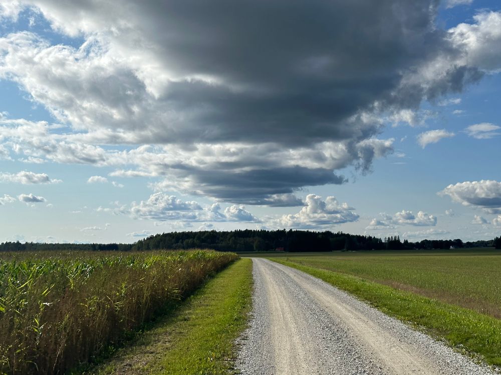 Scenic Rural Road under Dramatic Clouds · Free Stock Photo
