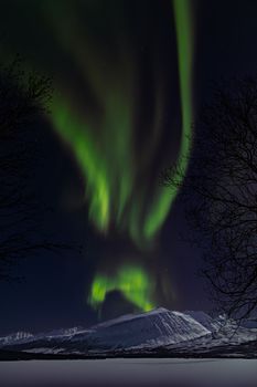 Vibrant Northern Lights illuminating the snowy mountains in Norway against a starry night sky.