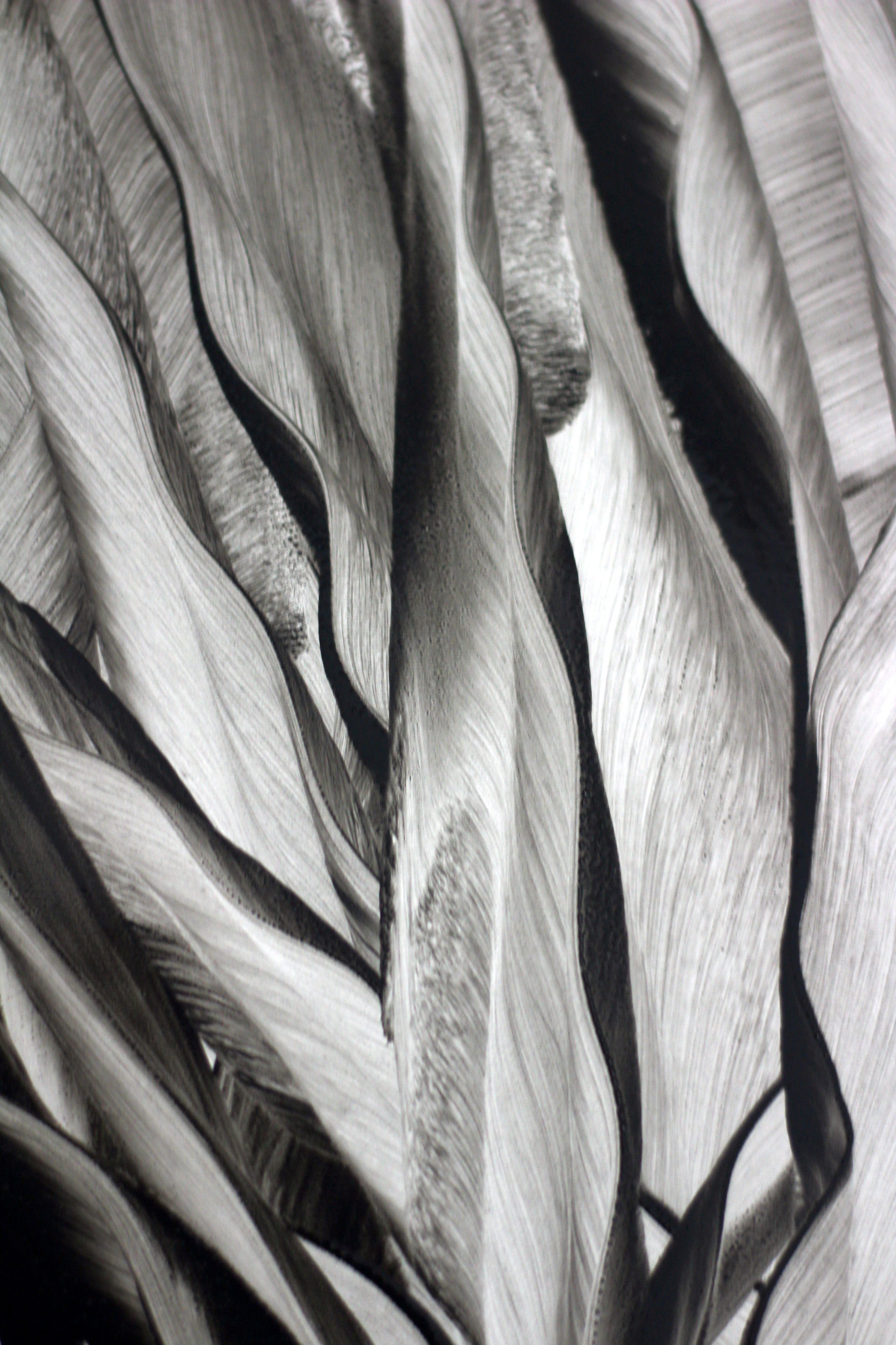 Abstract Black and White Leaf Pattern Design · Free Stock Photo