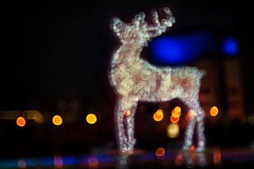 Free Bokeh effect of a reindeer light sculpture glowing brightly at night. Stock Photo