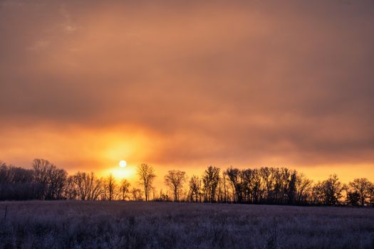 A peaceful winter sunset casting warm hues over a field with bare trees.