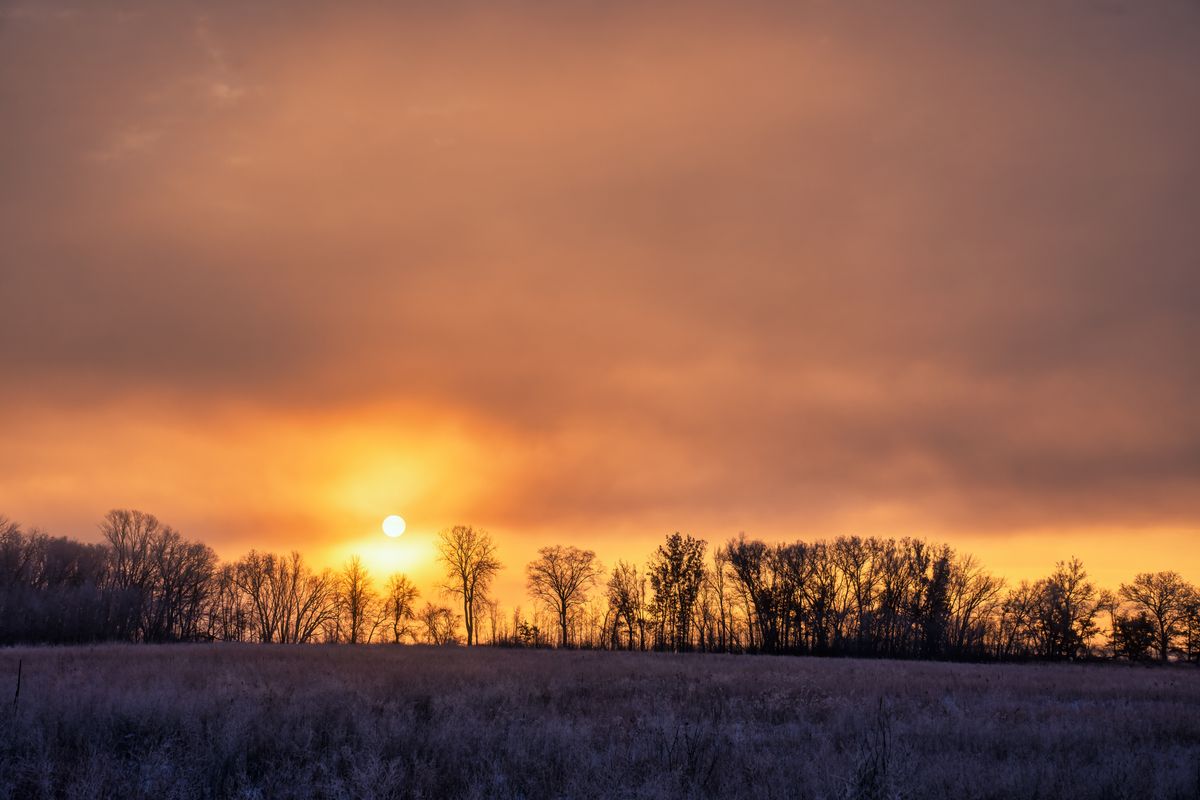 Winter sunset over a field with bare trees