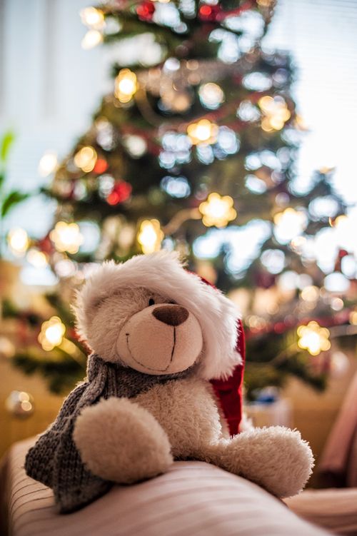 Free Adorable teddy bear wearing Santa hat in front of a festive Christmas tree with lights. Stock Photo