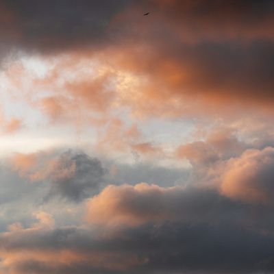 Slow Weather cover art — Bianca Kida on Pexels