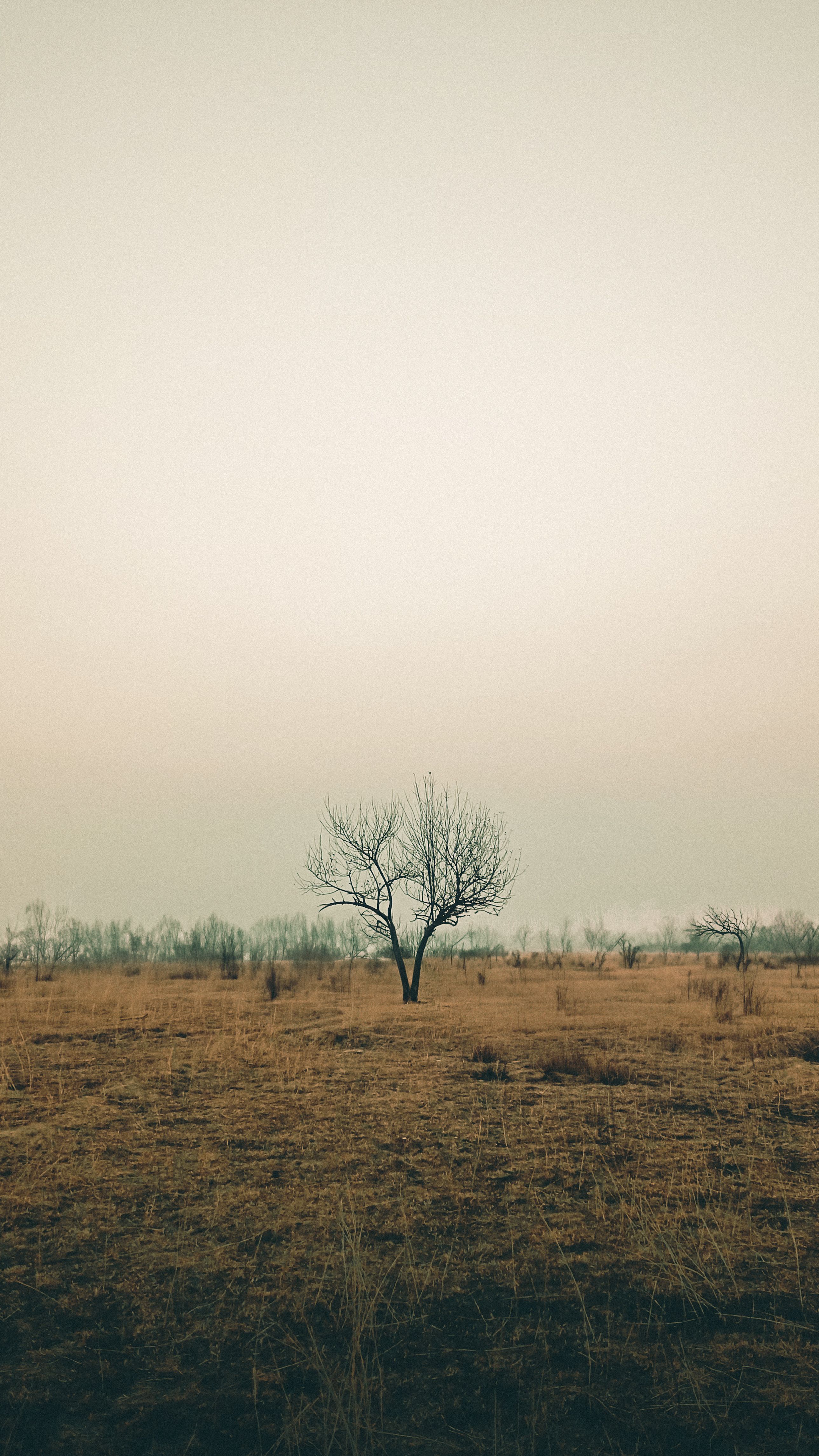 Photo by Sahil Captures on pexels