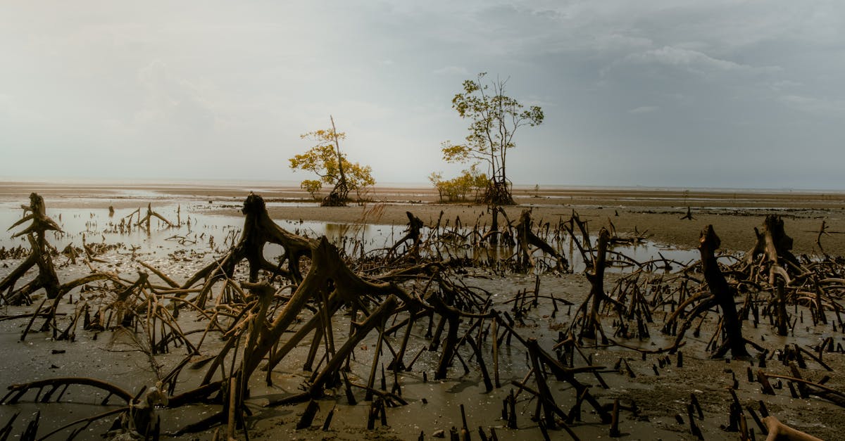 Meningkatkan Kualitas Hidup dengan Teknologi: 5 Inovasi Terbaru yang Harus Anda Ketahui