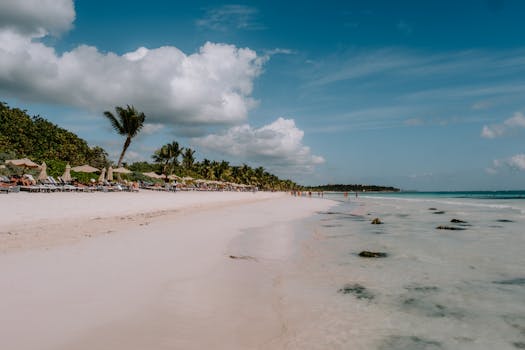 Serene beach in Tulum, Mexico with palm trees, clear water, and sunbathers under a blue sky.
