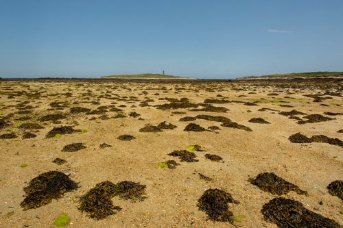 Free A wide view of a coastal sandy beach with scattered seaweed and a distant lighthouse visible, under a clear sky. Stock Photo