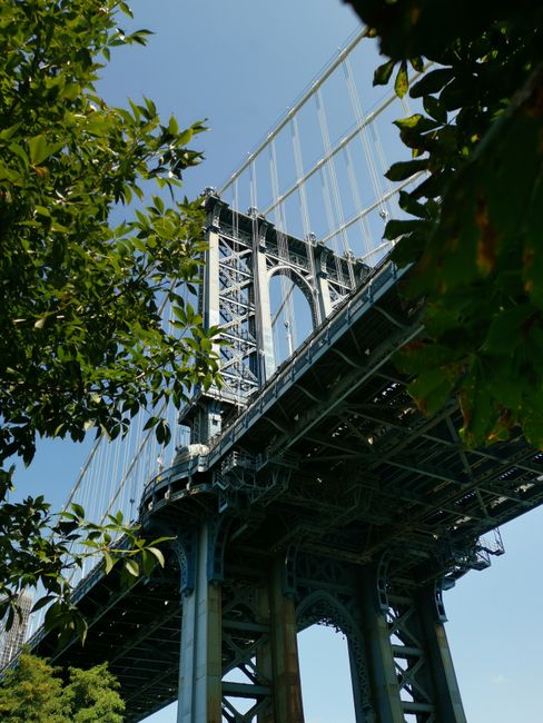 A scenic view of Manhattan Bridge framed by green leaves on a sunny day in New York City.