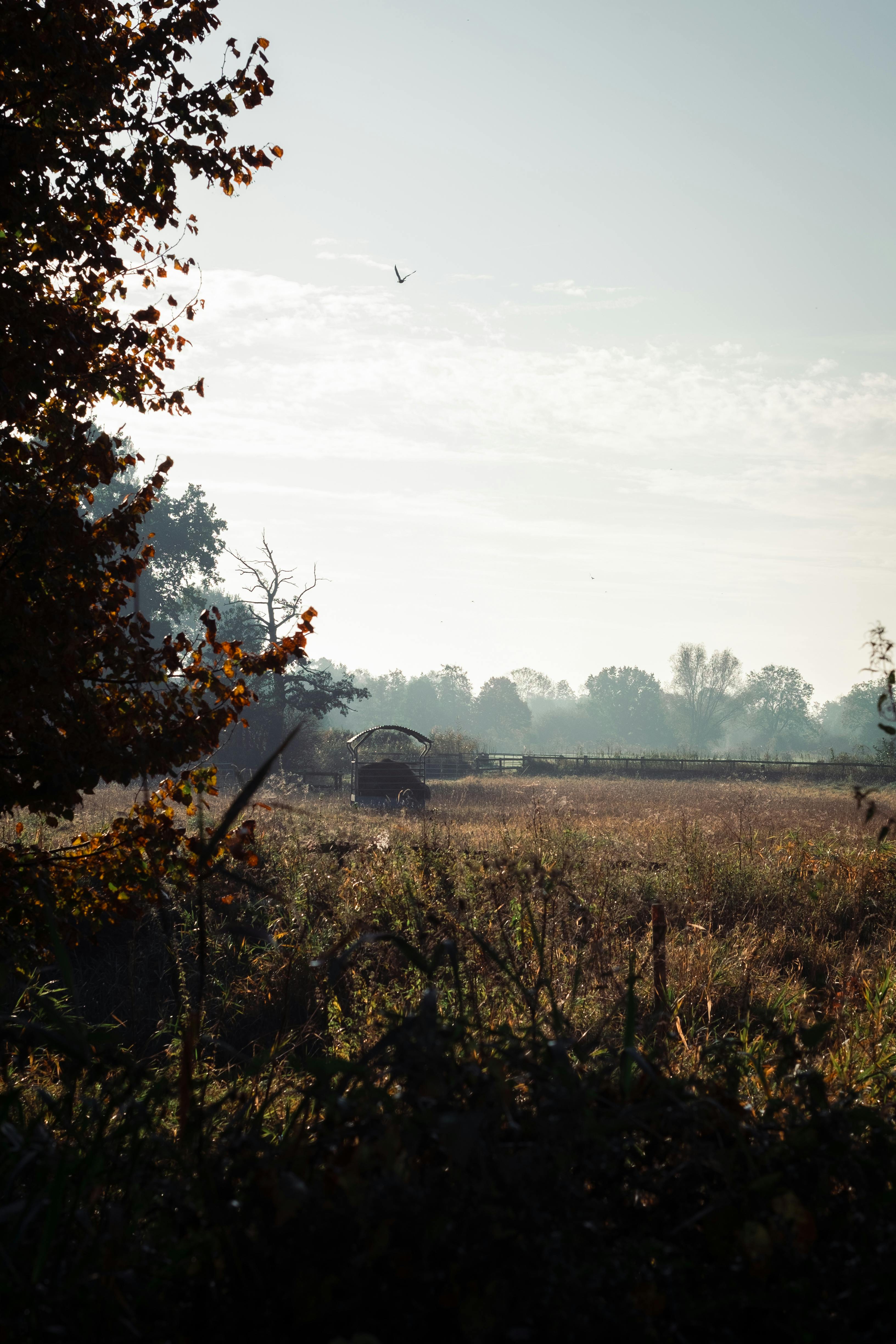 Free Beautiful autumn landscape featuring a train crossing through Lower Saxony, Germany. Stock Photo