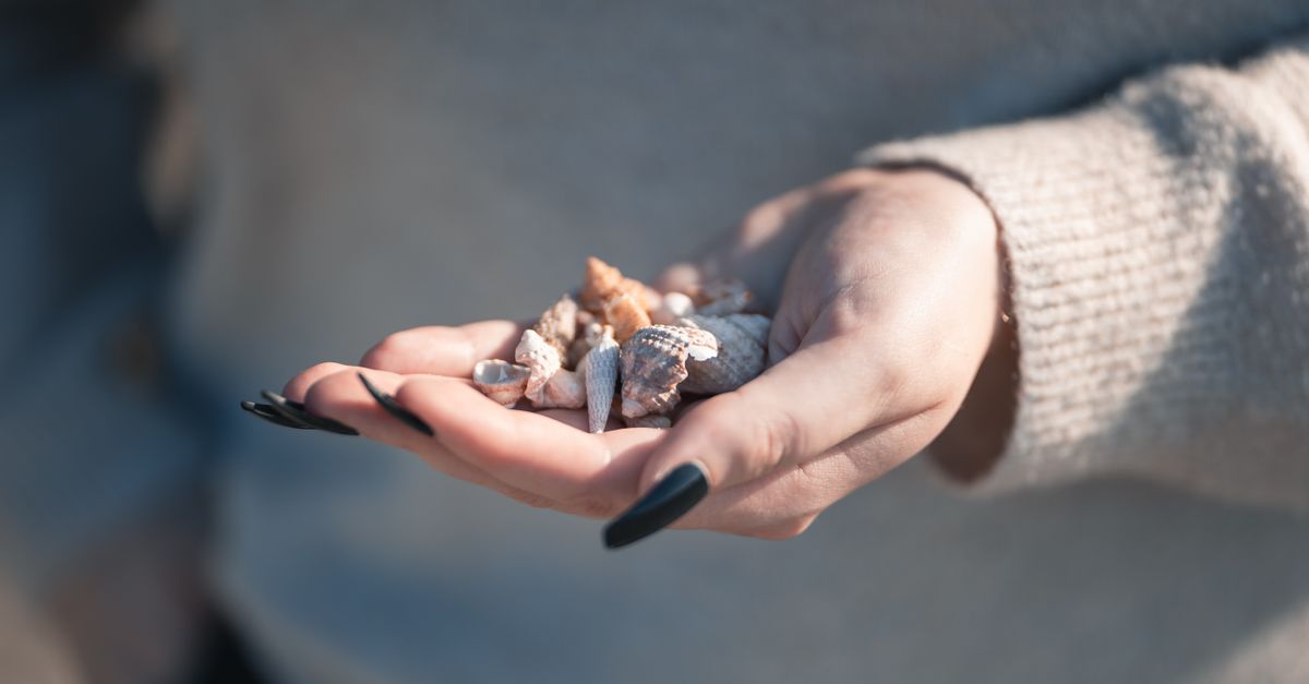 Close-up of a hand with black nails holding small seashells on a beach in Dunedin, Florida.