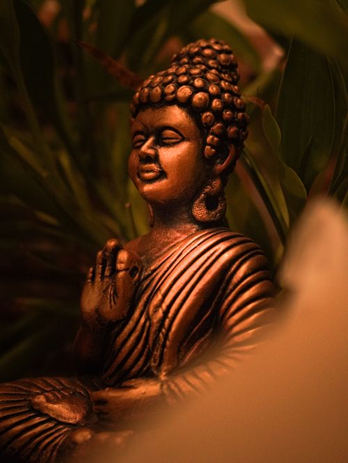 Free Bronze Buddha statue with serene expression surrounded by lush green foliage, creating a spiritual ambiance. Stock Photo