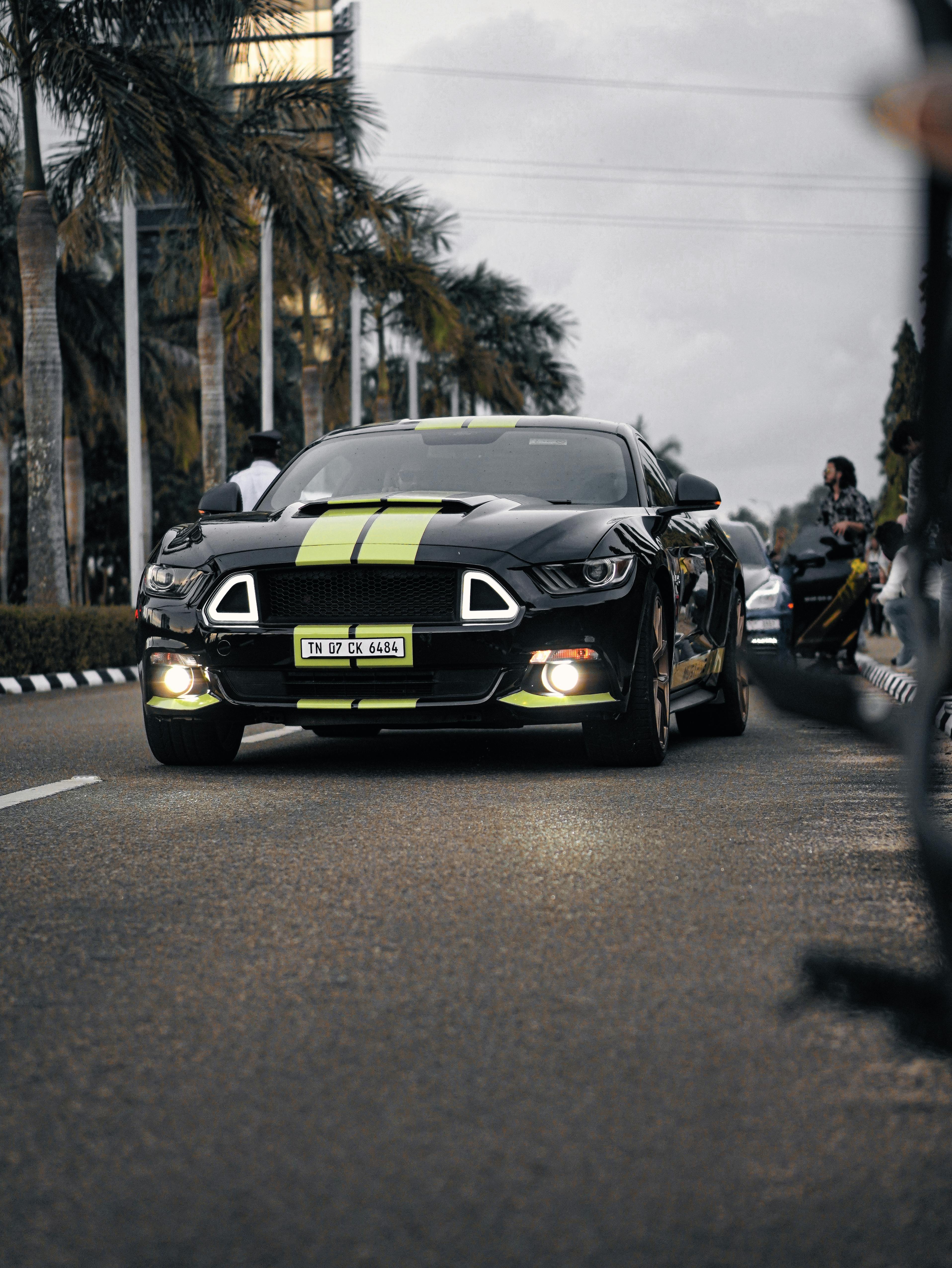 A sleek black Ford Mustang GT with green stripes on a palm-lined road, capturing the spirit of speed and style.