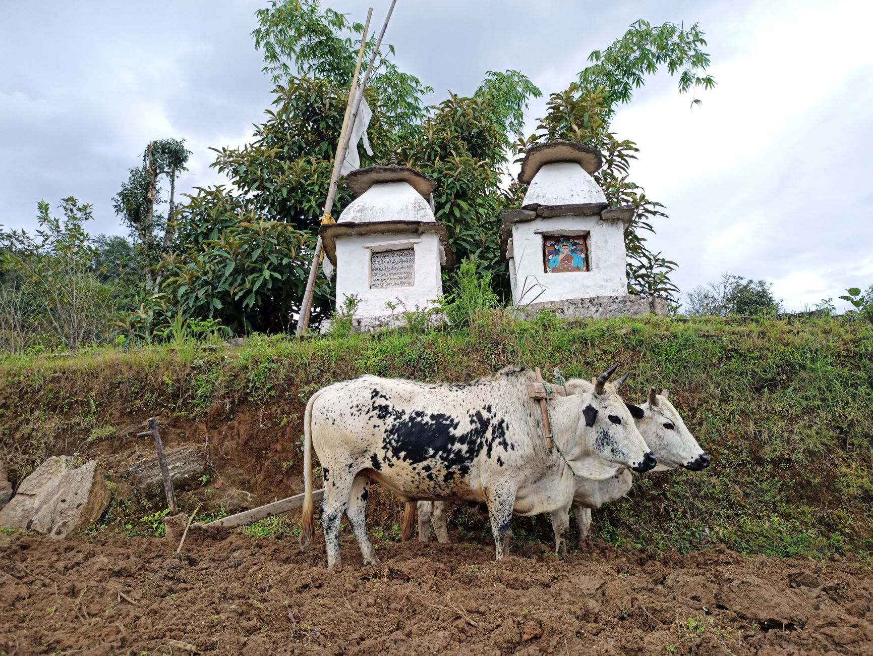 Nepal: «Es ist katastrophal. Die Erde bringt eine Reihe potenziell kontaminierter Trümmer mit sich»