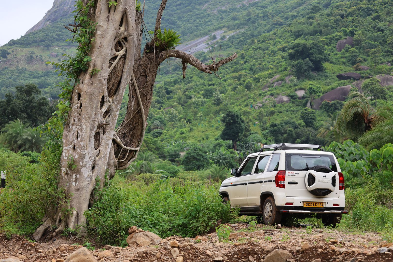 Cab driving through a scenic Kashmir mountain road