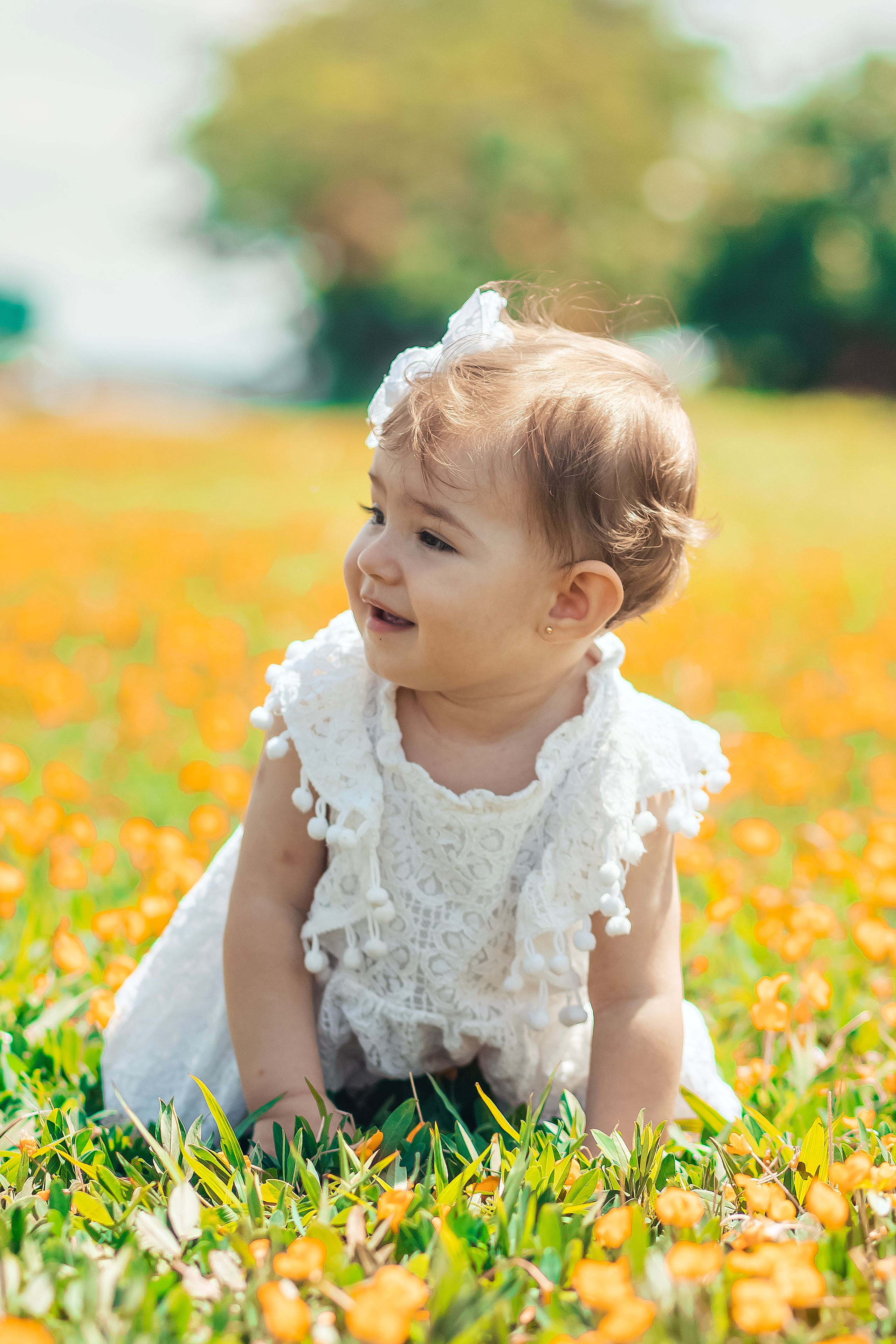 Adorable Baby Girl in White Dress Among Flowers · Free Stock Photo