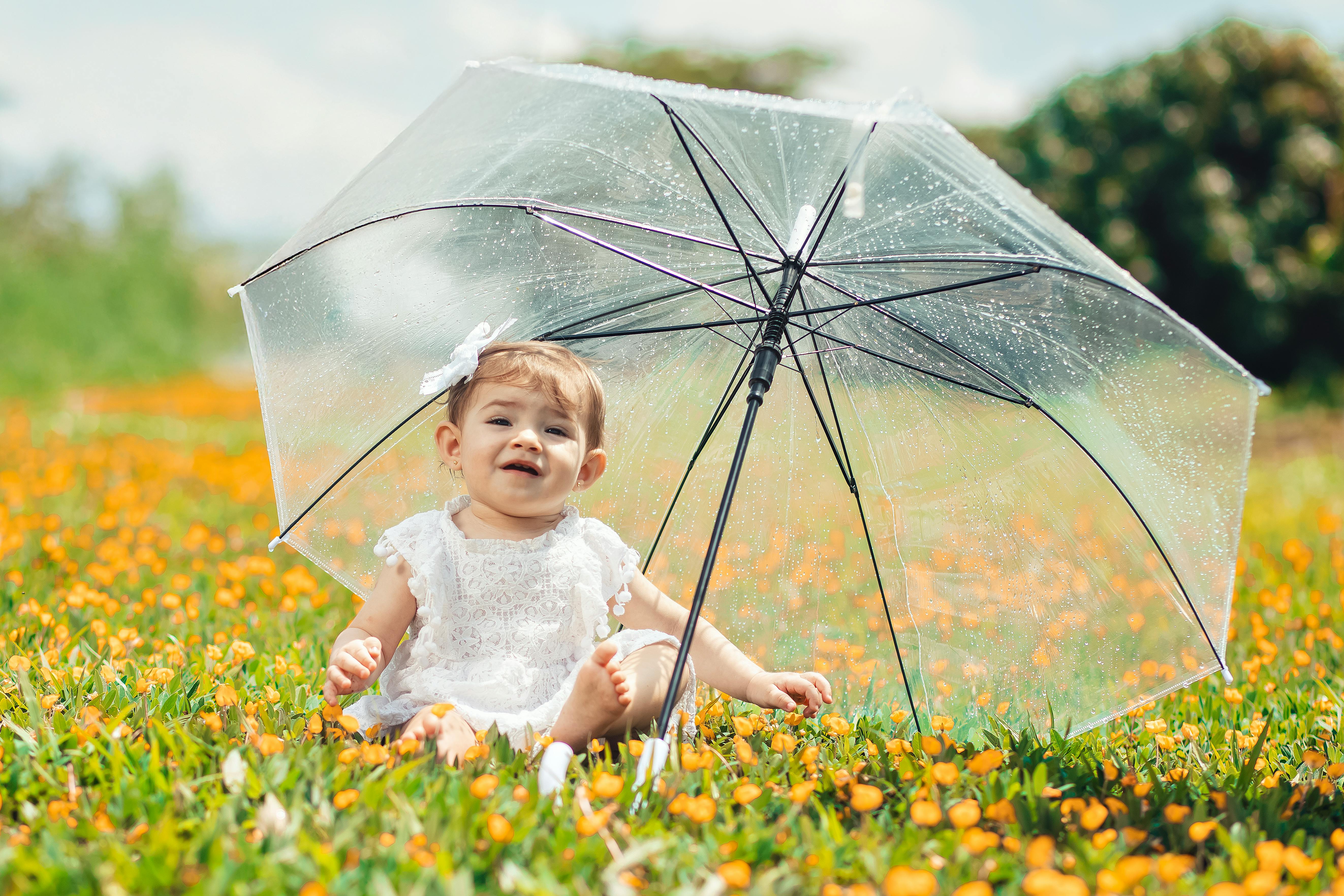 Best term life insurance companies of 2026 — Photo by Breno Cardoso on Pexels