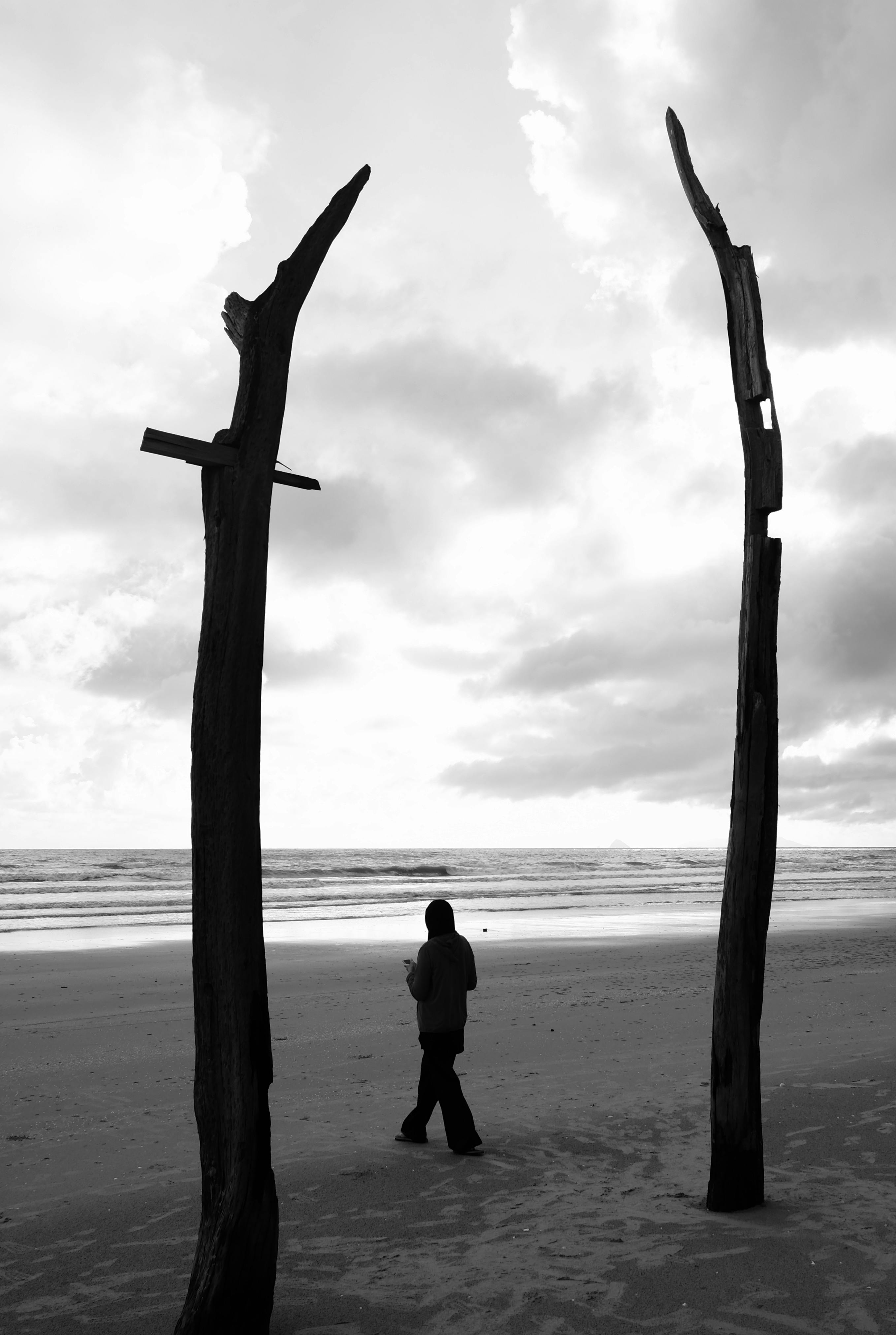 Silhouetted person walks along a beach surrounded by tall driftwood trunks.