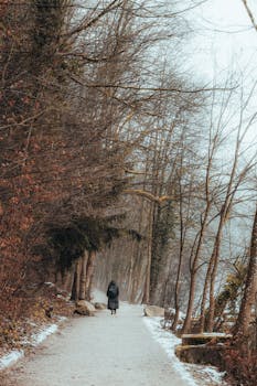 A lone figure walks on a snow-dusted path through a bare winter forest.