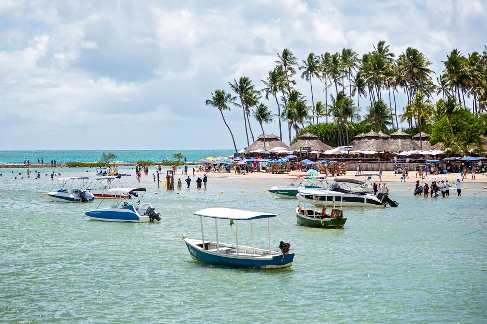 Vacinação dengue Maceió: postos, sintomas e prevenção