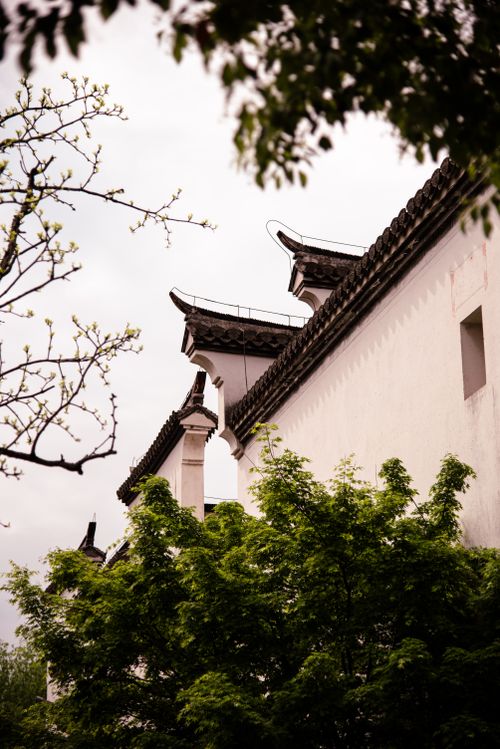 Free View of traditional Chinese architectural roof amidst lush trees in spring season. Stock Photo